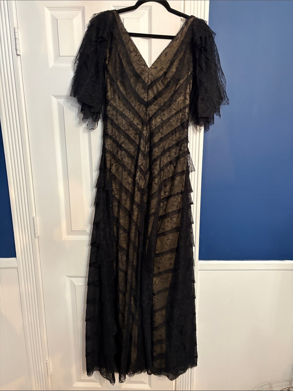Tadashi Shoji Chantly Hand Cut Lace Tiered Formal Dress - size 2 🌟 - Picture 4 of 4